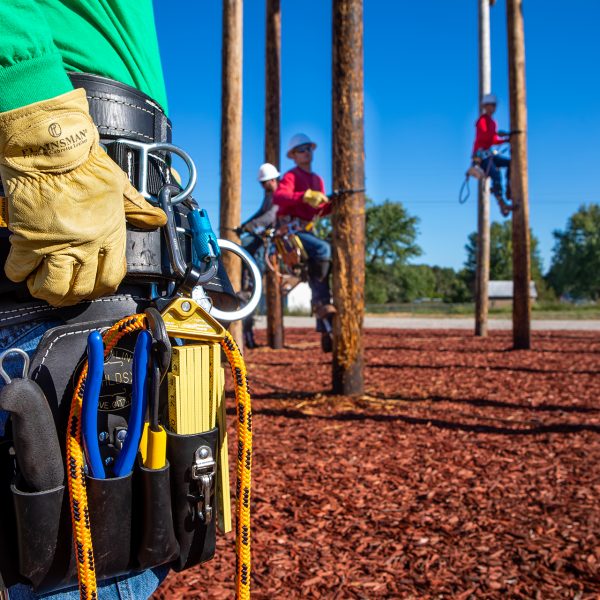 Electrical Line Distribution Program