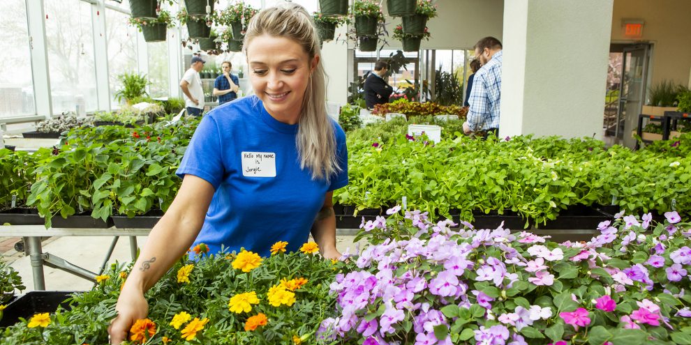 Plant Science Program student arranges plants in the greenhouse.