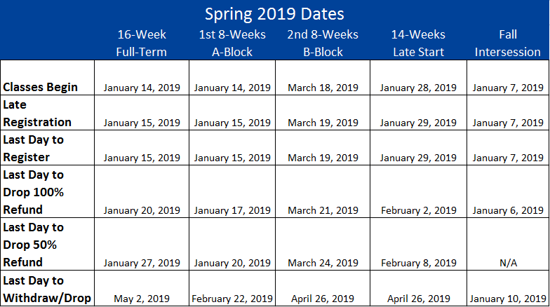 2019 Spring